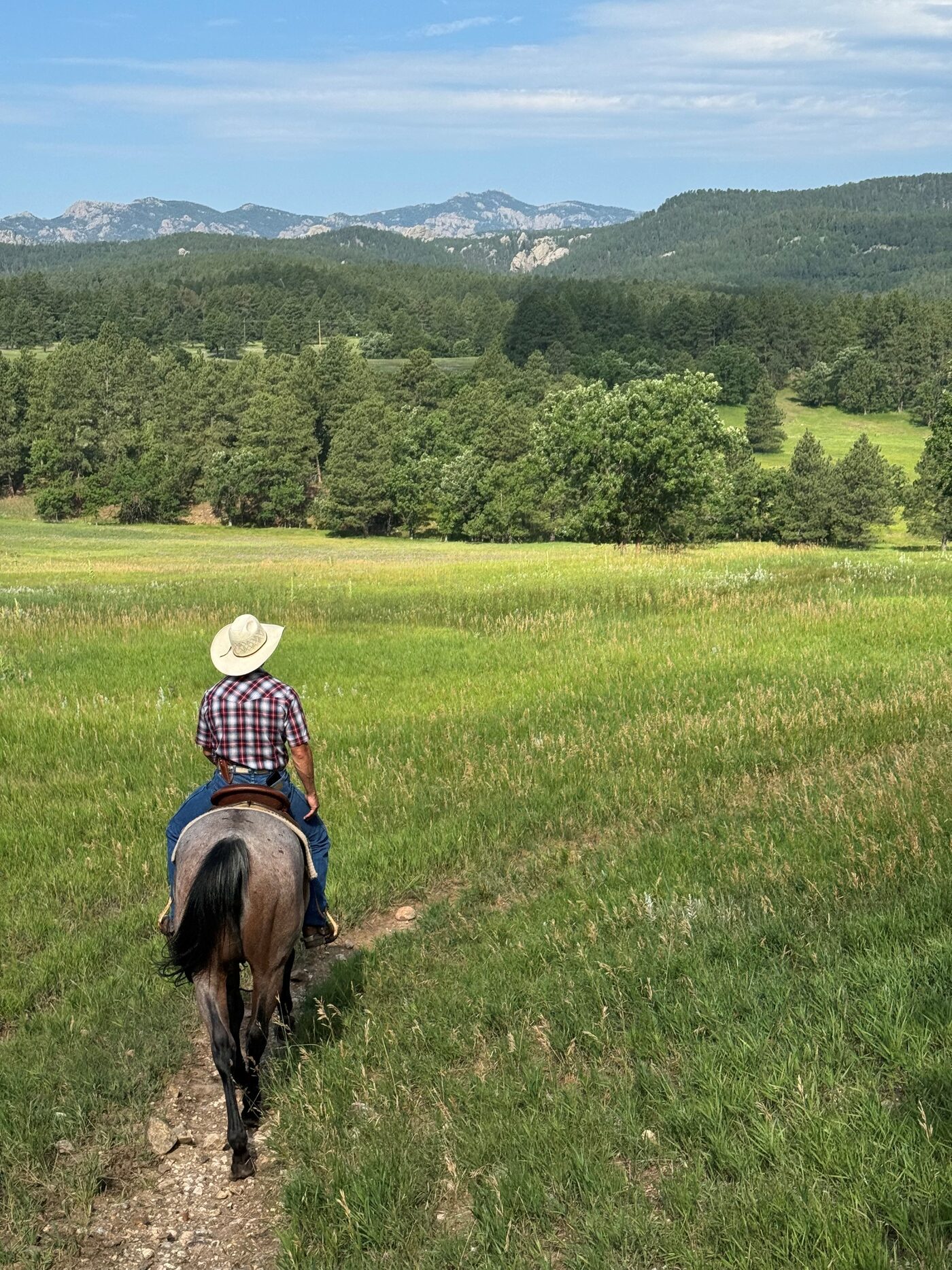 Jon Anderson on horseback in a mountain meadow