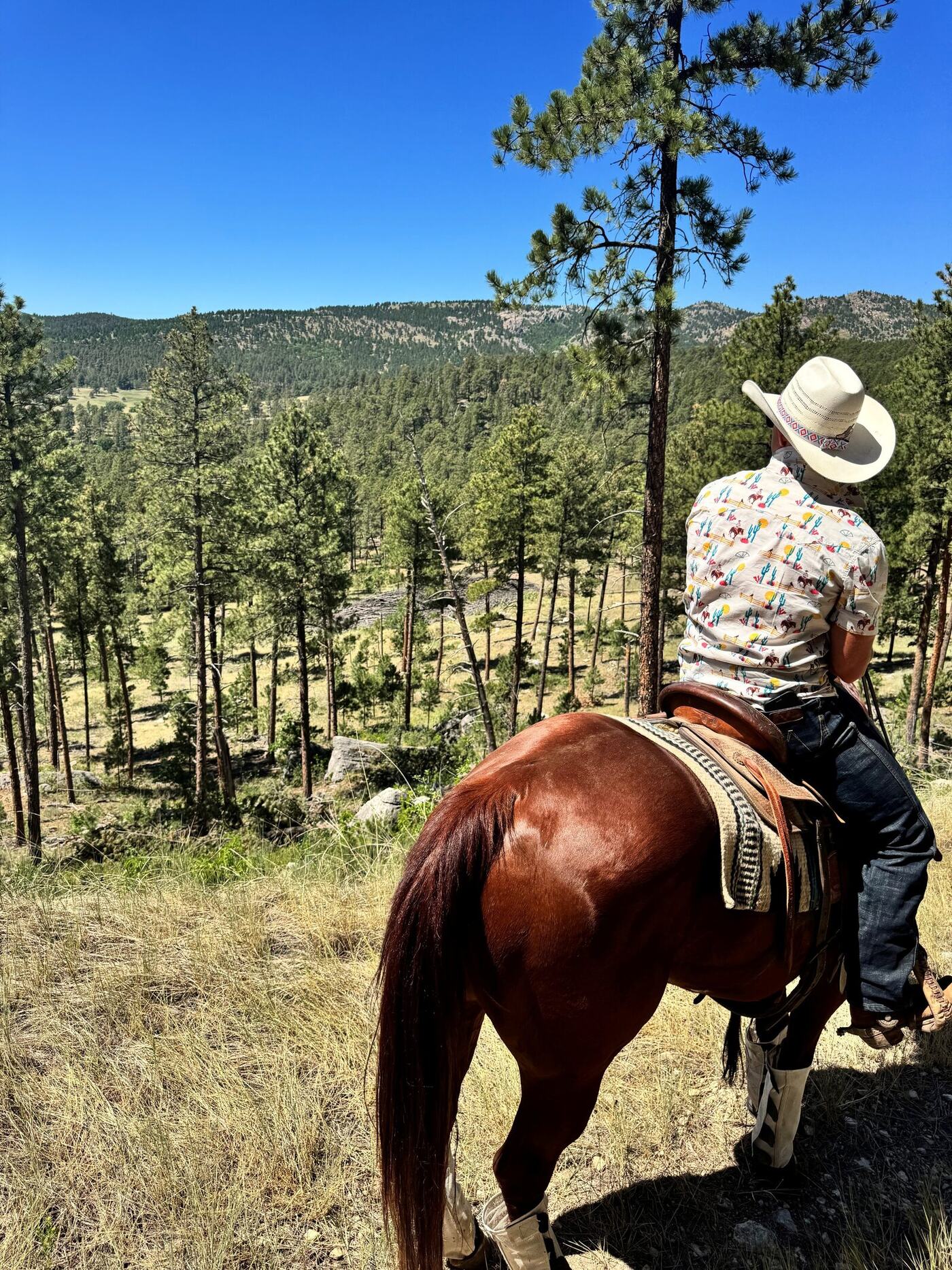 Jon Anderson on horseback on a mountain trail